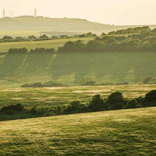 The Sussex Downs