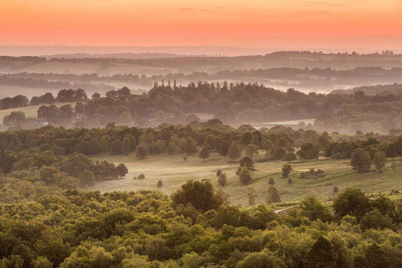 Ashdown Forrest Sunrise 2