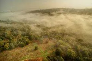 Aerial AShdown