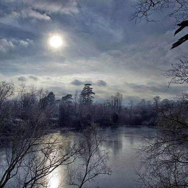 Cold and Crisp in the Sussex Woodland lakewood